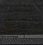 Black Boned Angel (NZ) : Dashed upon Stones